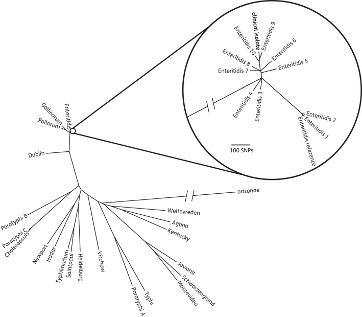 Figure 1.