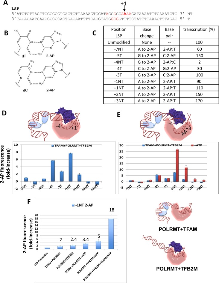 Figure 4.