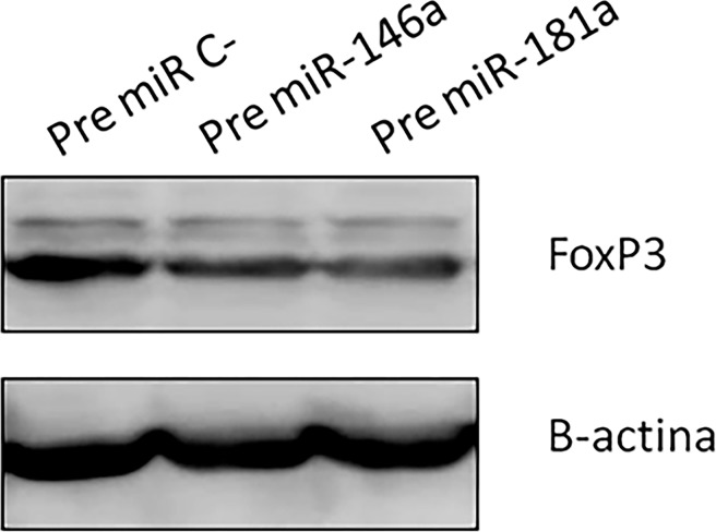 Fig 7