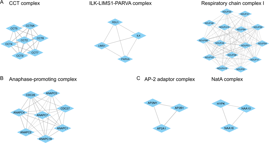 Figure 5: