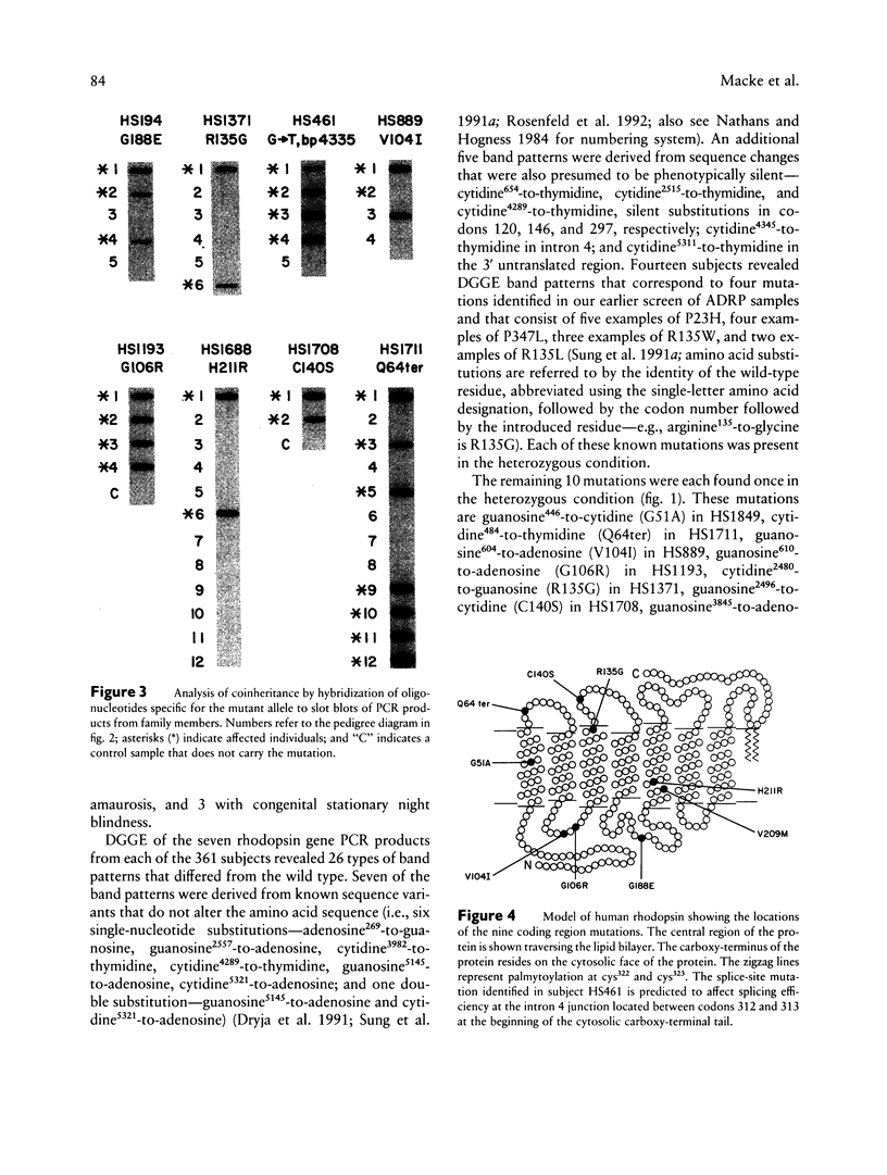 84