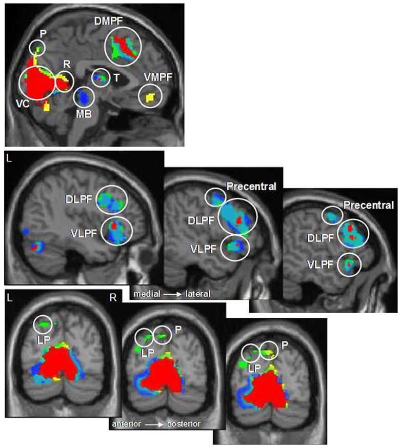 Fig. 7