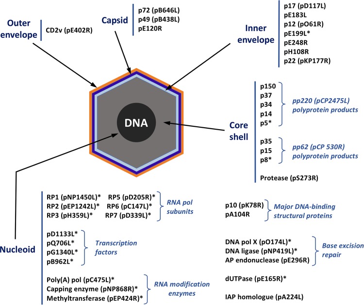 FIG 6