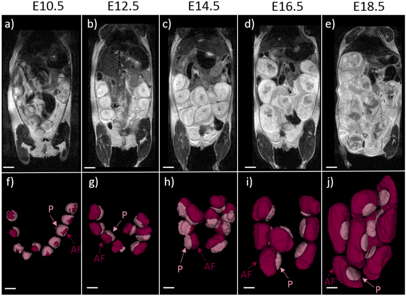 Figure 1: