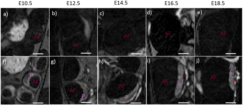 Figure 2: