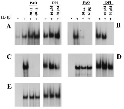 FIG. 7