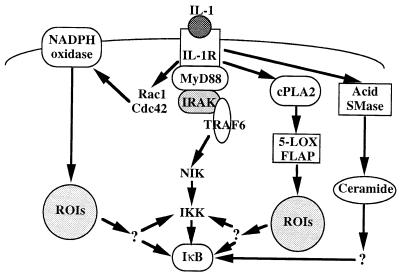 FIG. 10