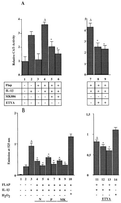 FIG. 5