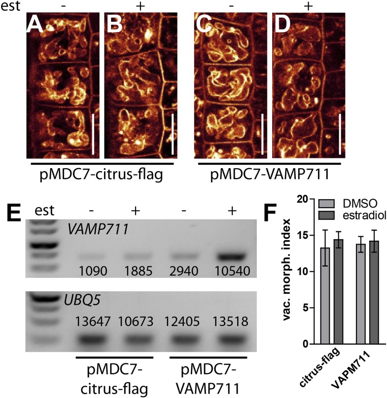 Figure 4—figure supplement 3.