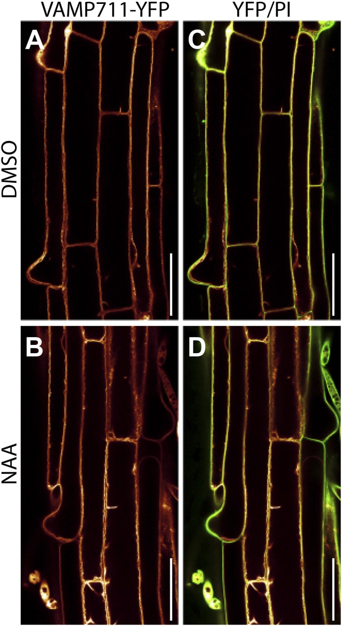 Figure 1—figure supplement 2.