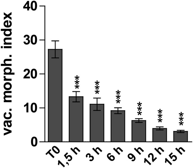 Figure 2—figure supplement 1.