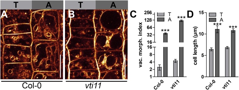 Figure 6—figure supplement 2.