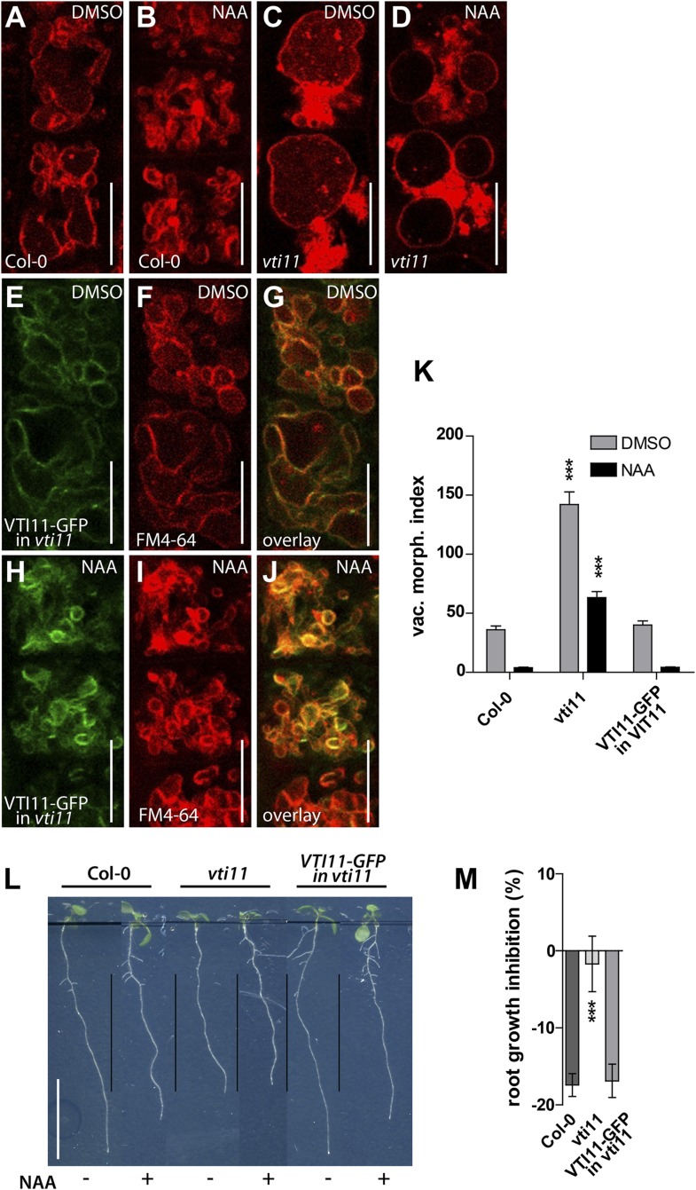 Figure 6—figure supplement 3.