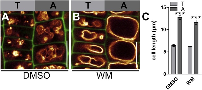 Figure 7—figure supplement 2.