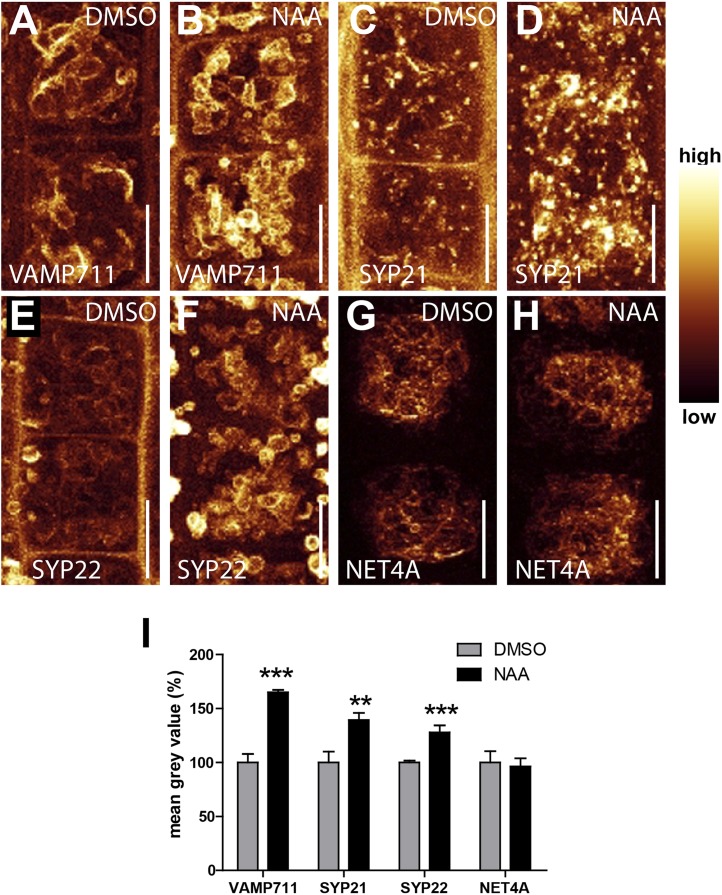 Figure 4—figure supplement 2.