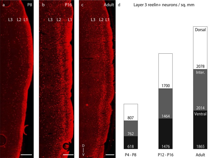 Figure 5—figure supplement 1.