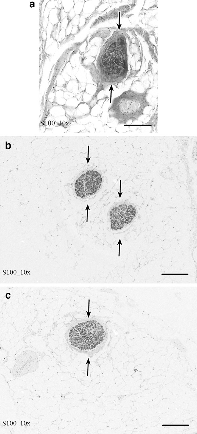 Fig. 10