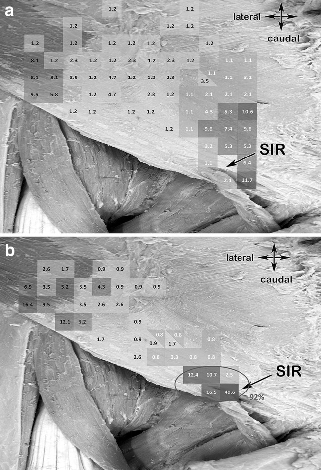 Fig. 12