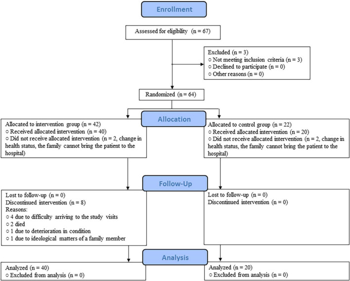 FIGURE 1