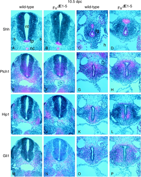 FIG. 6.