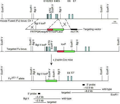 FIG. 3.