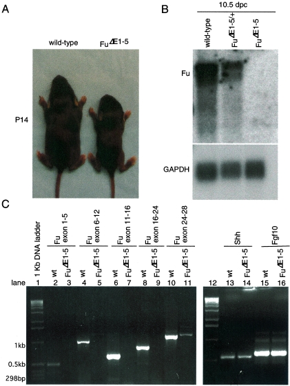 FIG. 4.