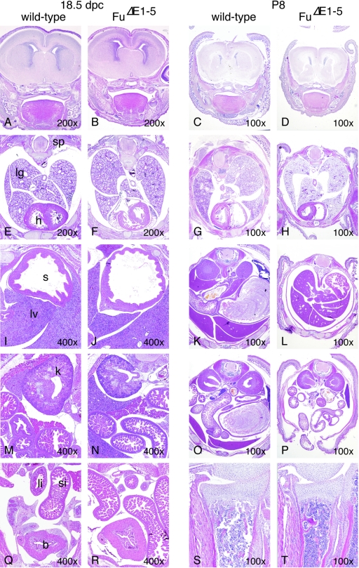 FIG. 5.