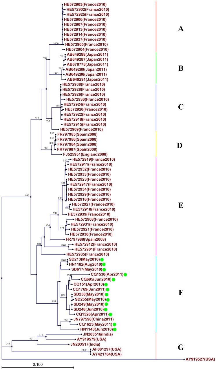 Figure 5