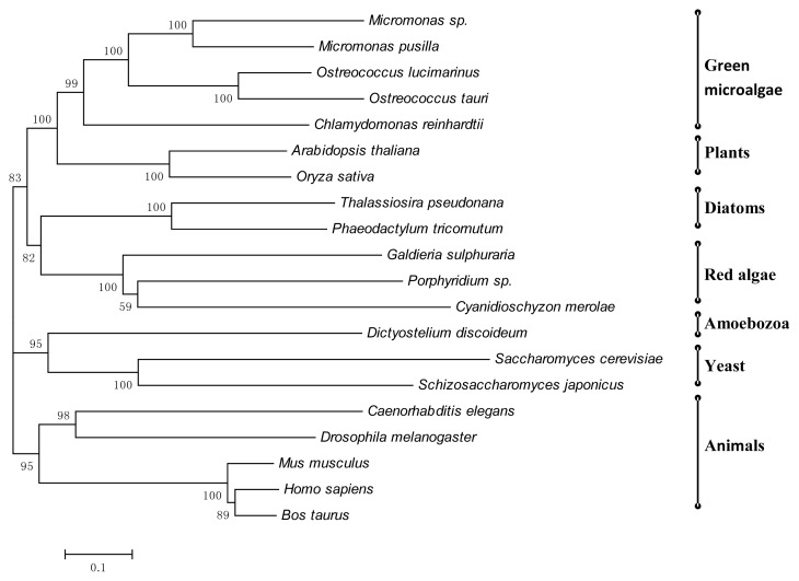 Figure 3.