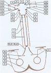 Fig. 20