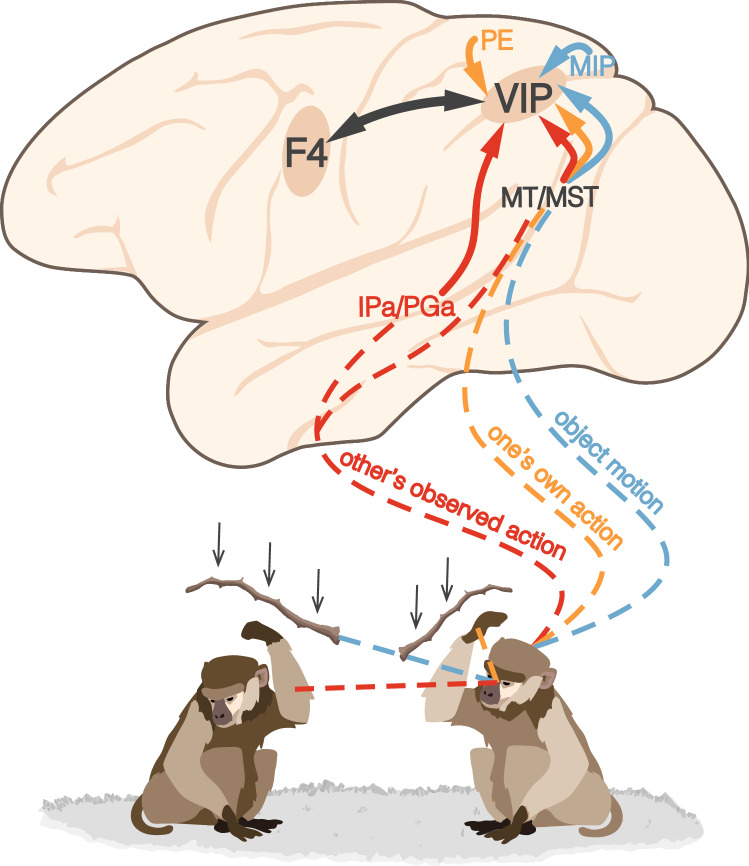 Fig. 3