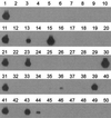 FIG. 6