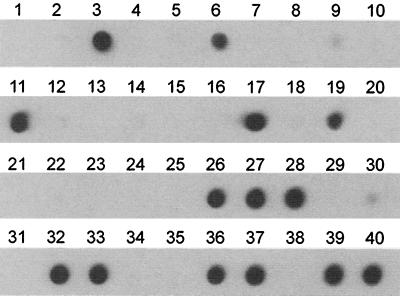 FIG. 5