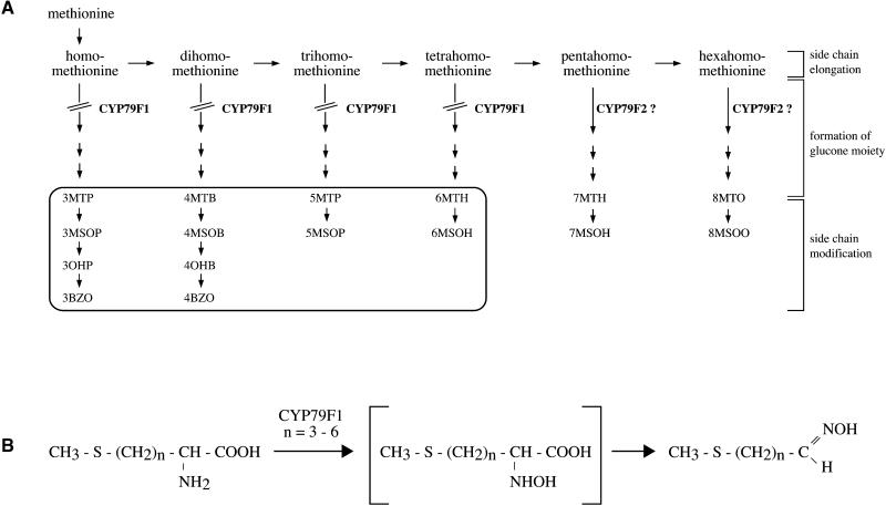 Figure 7.