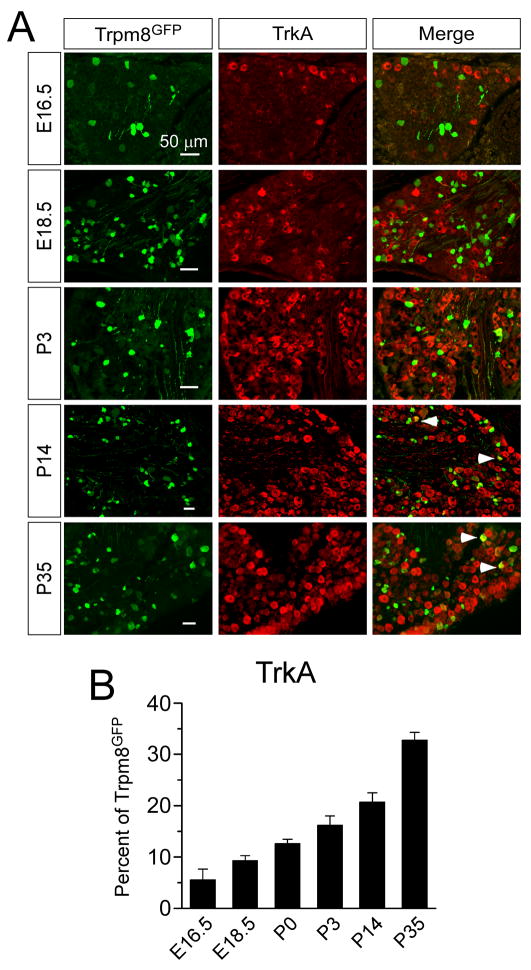 Fig. 11