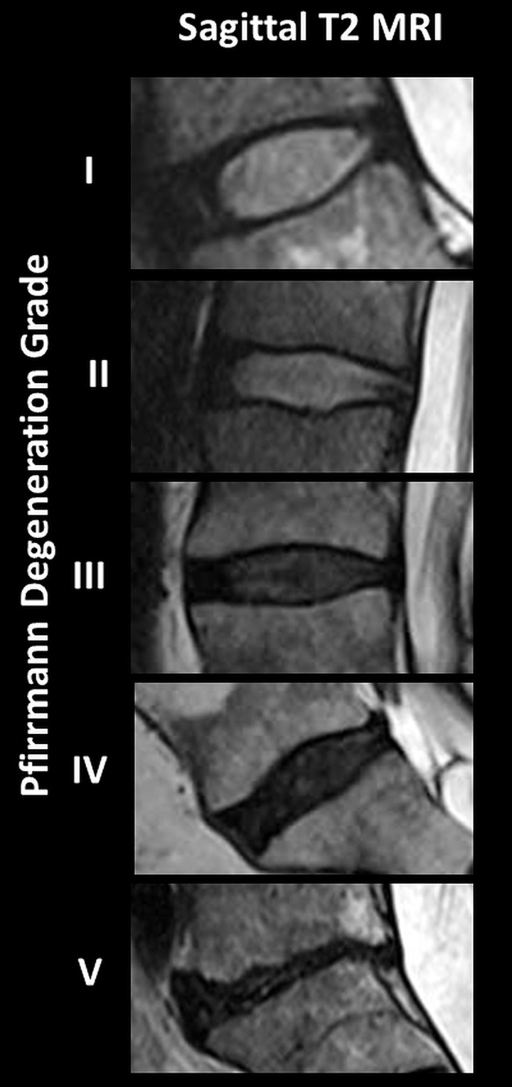 Figure 3c: