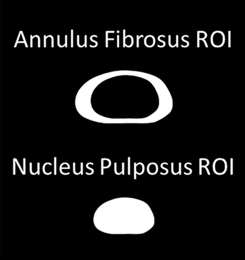 Figure 1c: