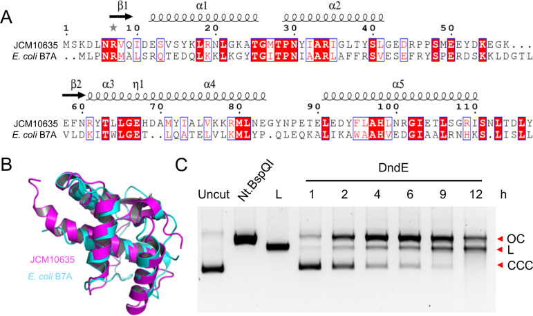 FIG 2