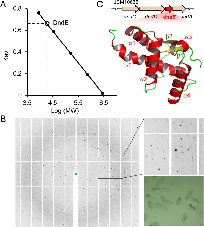 FIG 1