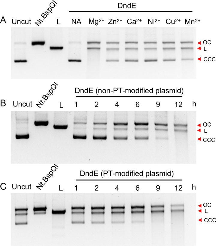 FIG 3