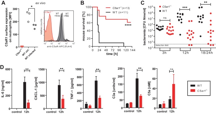 FIG 3 