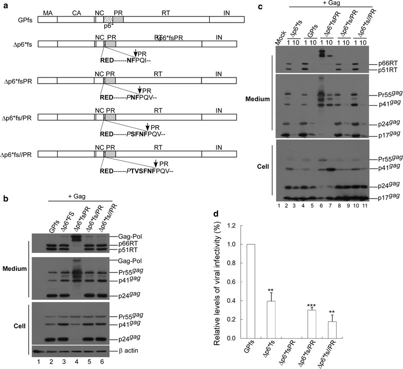 Fig. 4