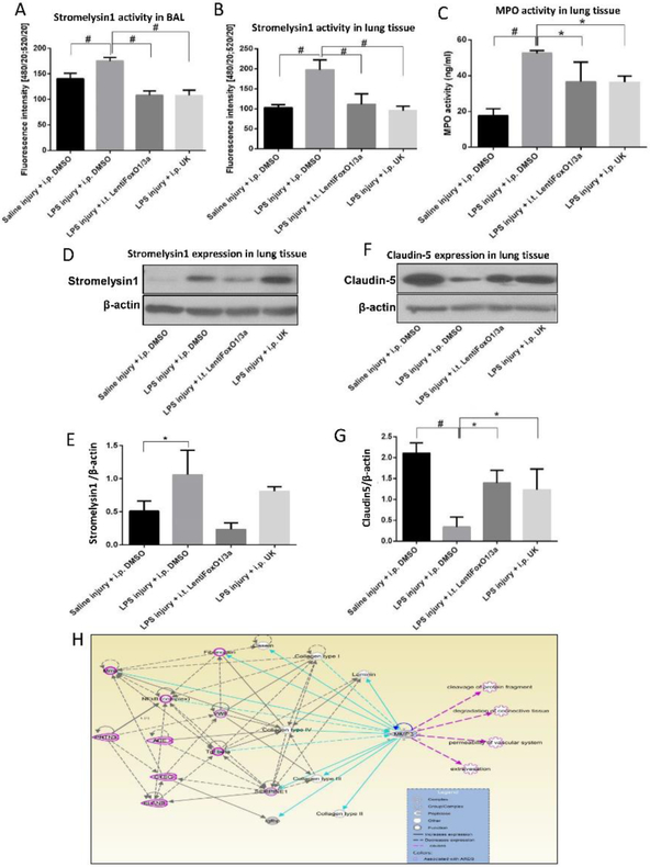 FIGURE 6: