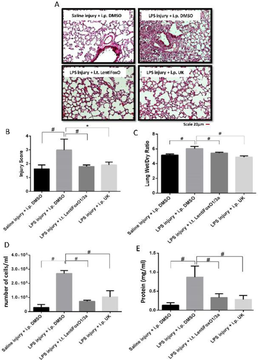 FIGURE 5: