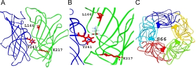 Fig. 1.