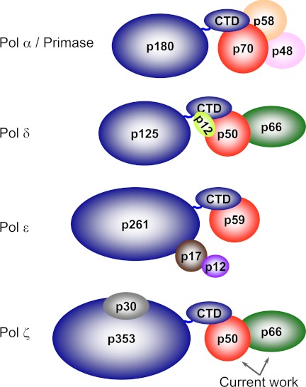 FIGURE 1.