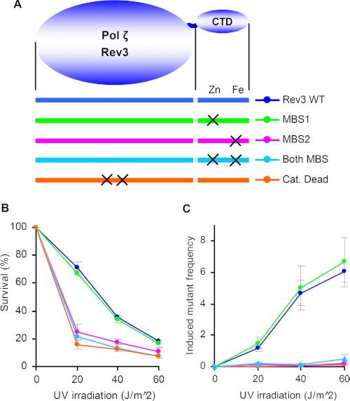 FIGURE 5.