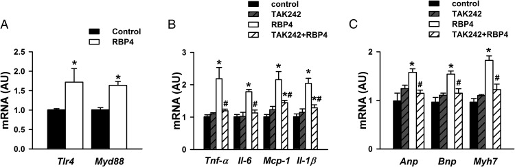 Figure 5.