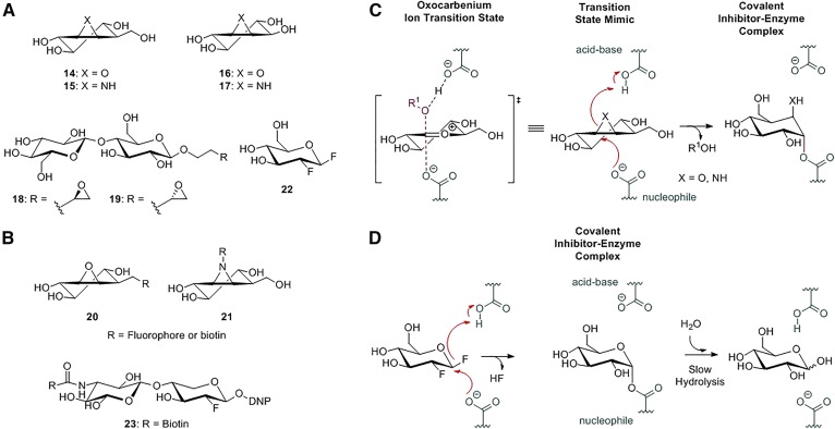 Fig. 6.