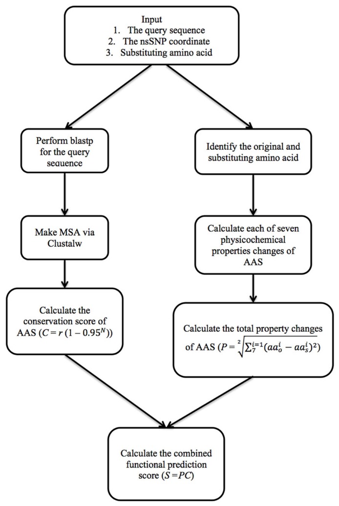 FIGURE 1